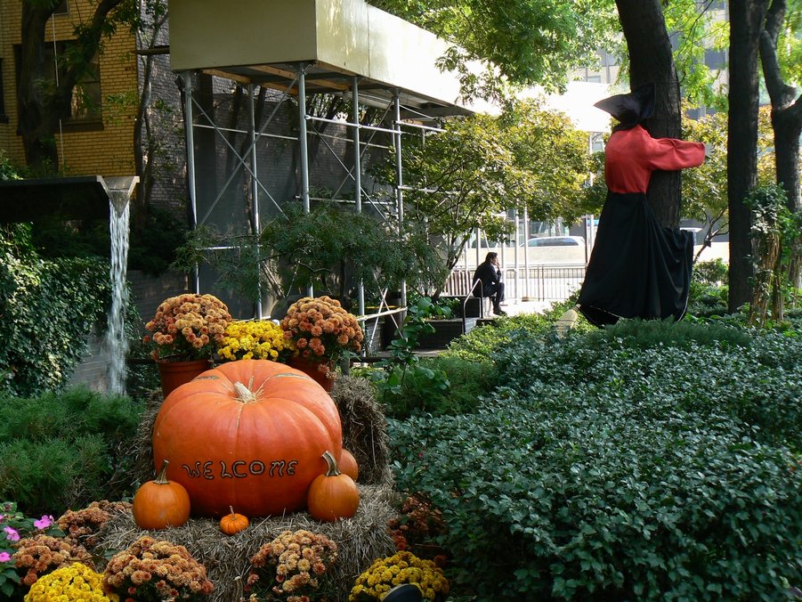 Halloween - 100 United Nations Plaza: 100 United Nations PLaza 003